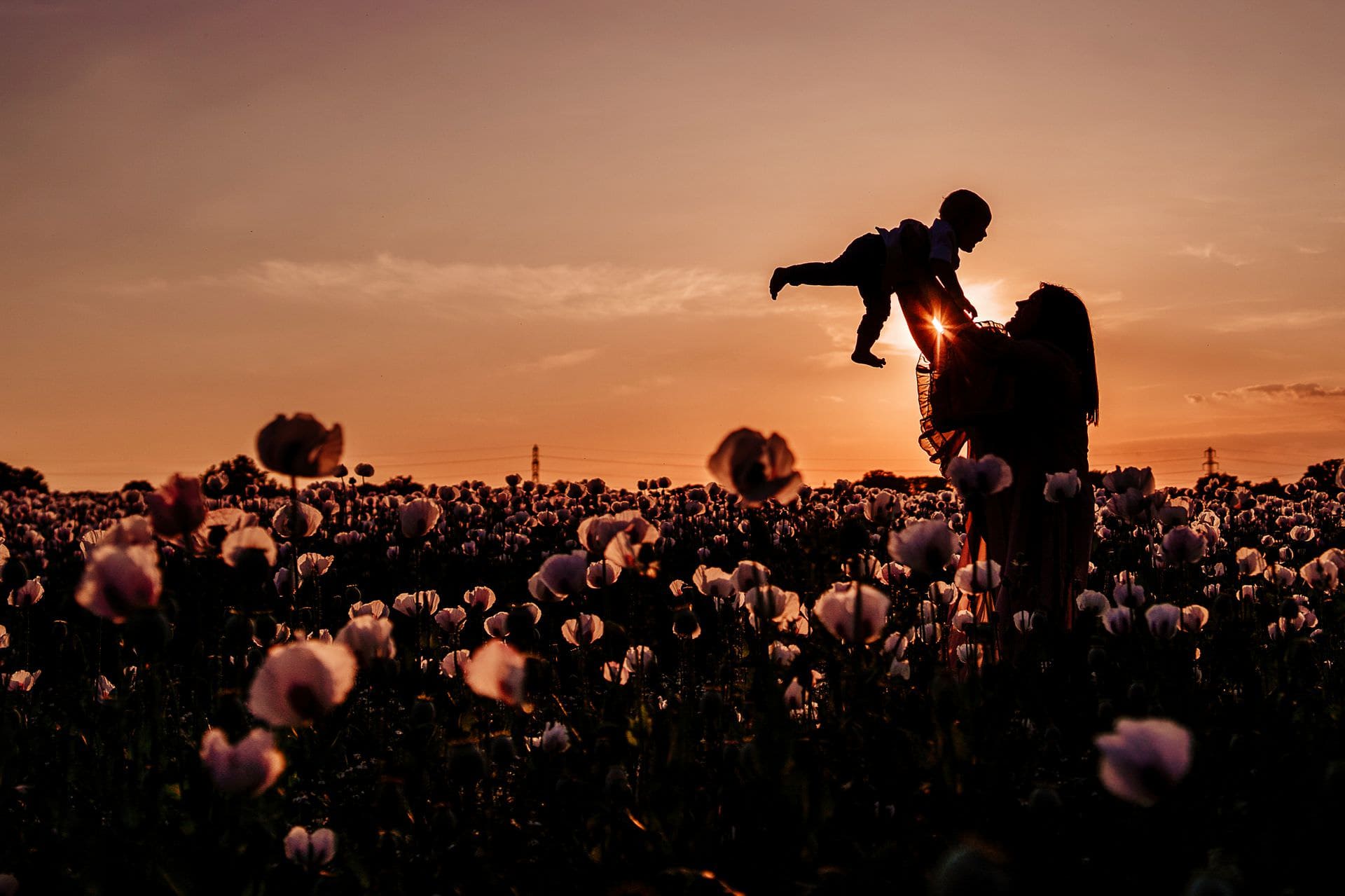 Family Photoshoots in the Poppy Fields // Round-up